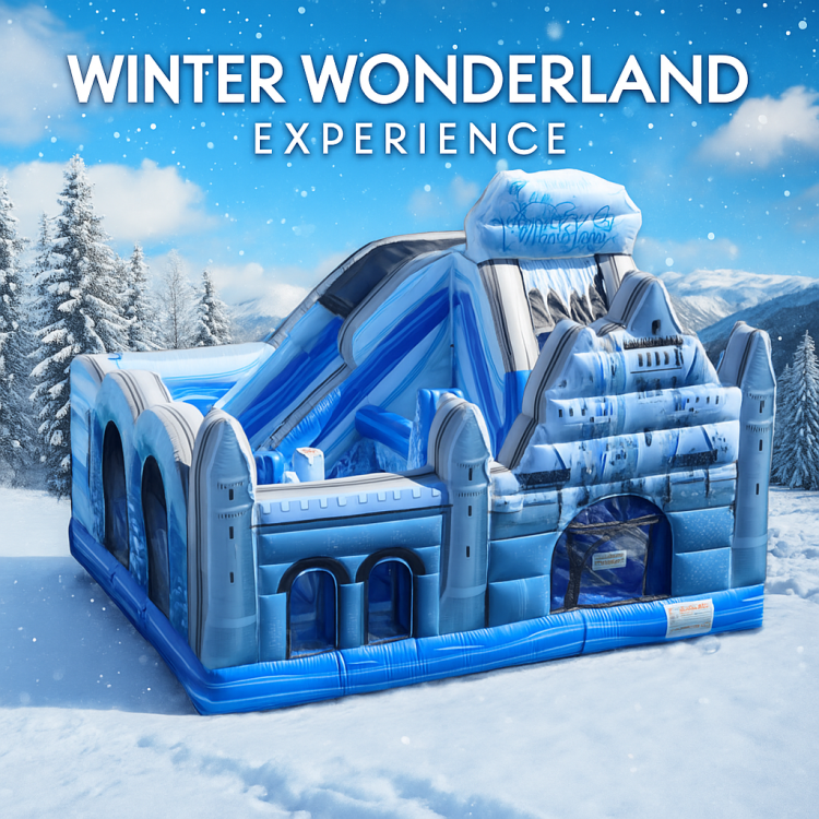 Winter Wonderland Experience