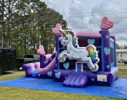 Unicorn Double Lane Bounce and Slide