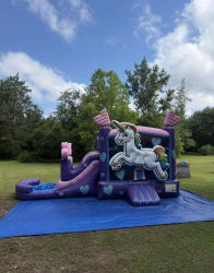 Unicorn Double Lane Bounce and Slide
