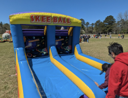 10' Skee Ball