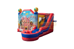 Carnival Bounce and Slide